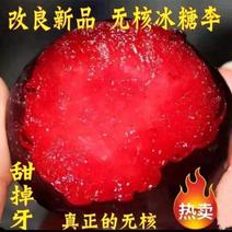 新品种早熟无核冰糖李子树苗红肉血丝李果园直发包品种提供技