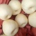 【蒲城酥梨】/陕西薄皮甜贡梨/面白肉无渣/代发全国…