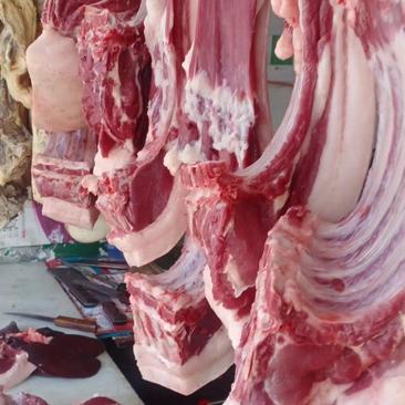 湖北郧西纯粮食喂养周期一年的熟食土猪肉