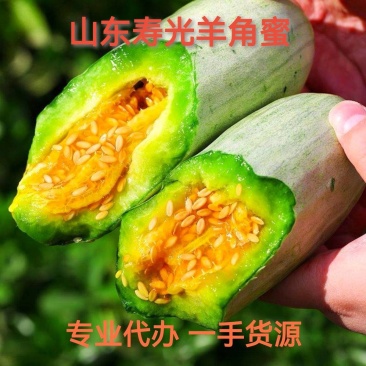 寿光羊角蜜甜瓜大量供应市场电商一件代发全国欢迎咨询