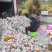 春见粑粑柑乐山产地货源价格优惠市场商超电商团购批发
