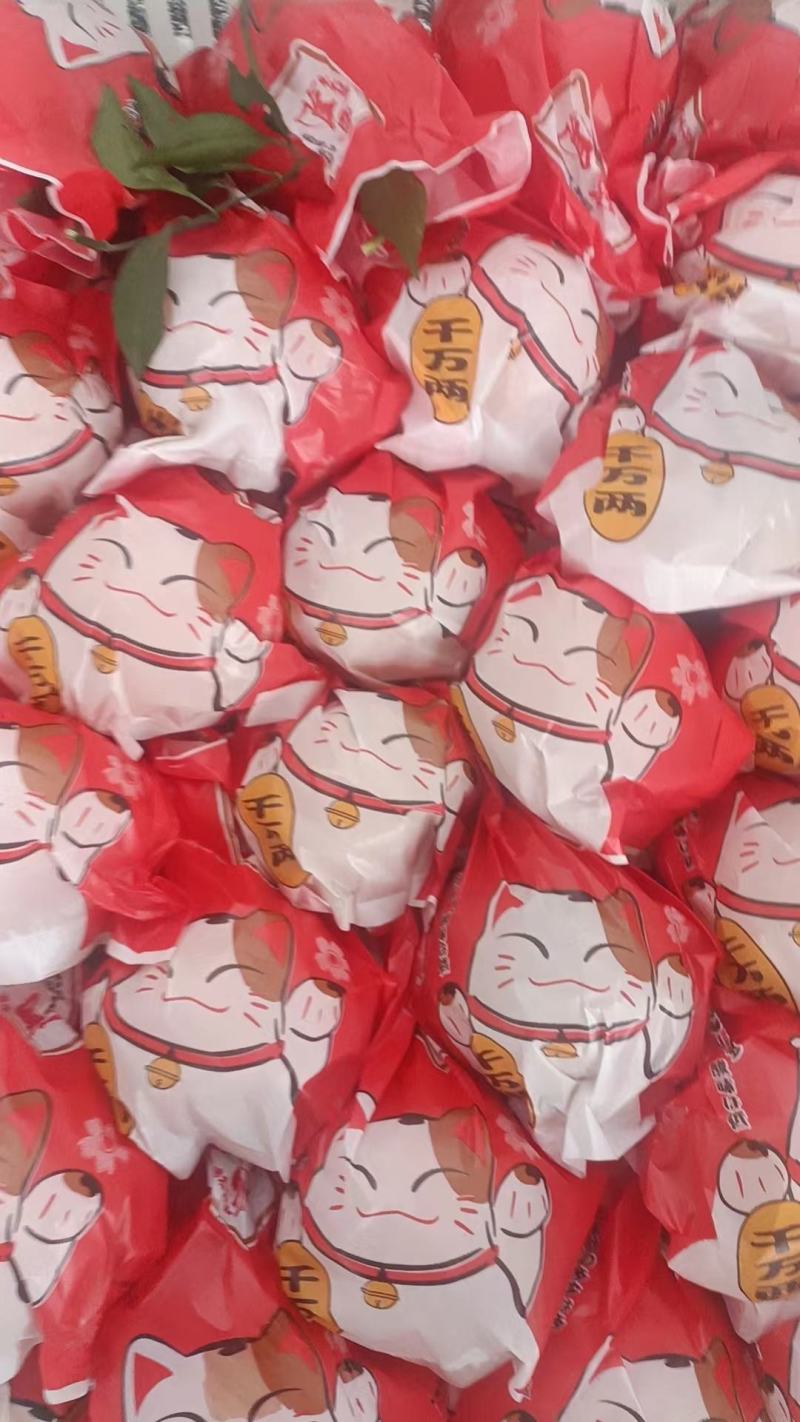 春见粑粑柑乐山产地货源价格优惠市场商超电商团购批发