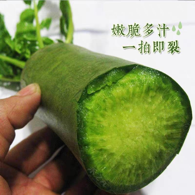 水果青萝卜水果萝卜红皮萝卜胡萝卜白萝卜欢迎订购。