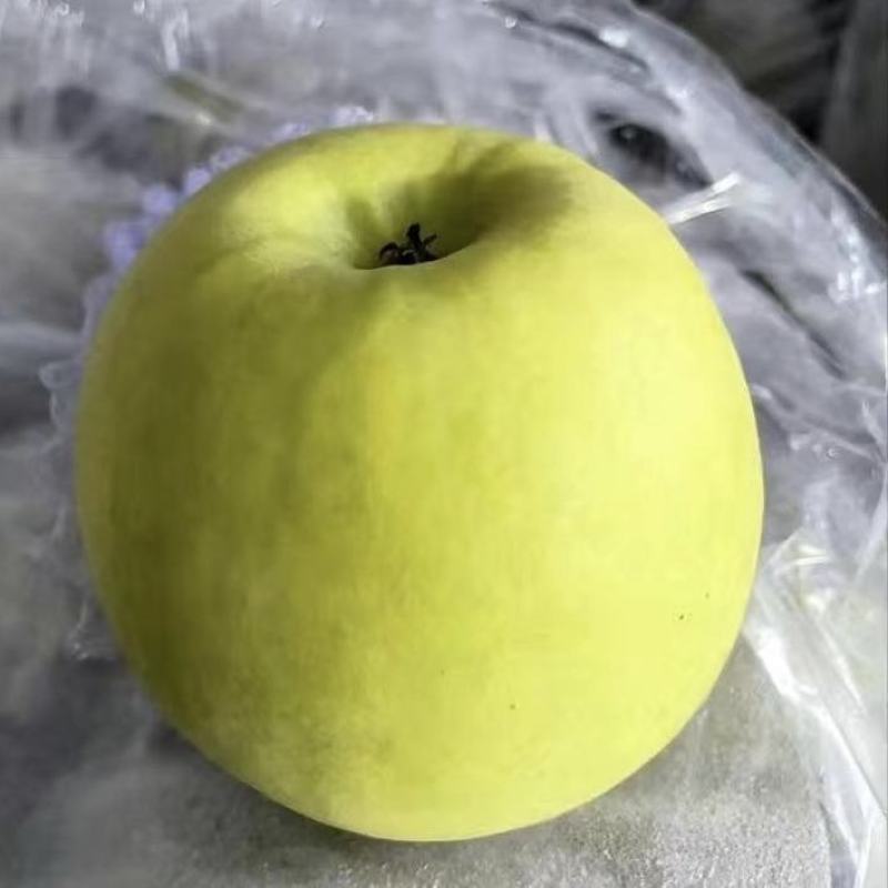 陕西白水瑞雪苹果，晚熟红富士苹果香脆可口甜诚信共赢