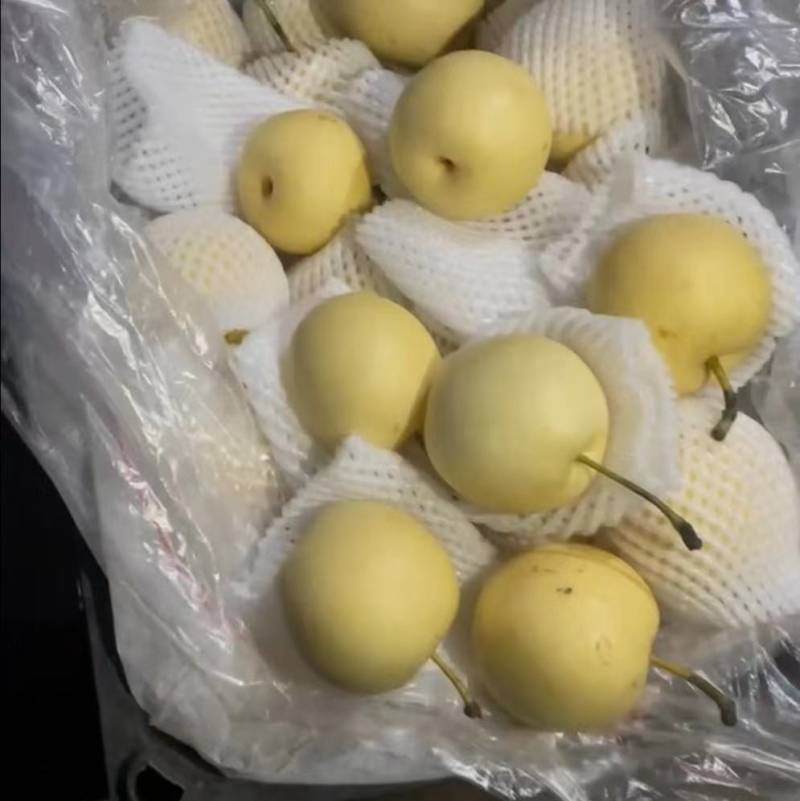 皇冠梨