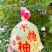 安江柚，雪峰柚，冰糖柚