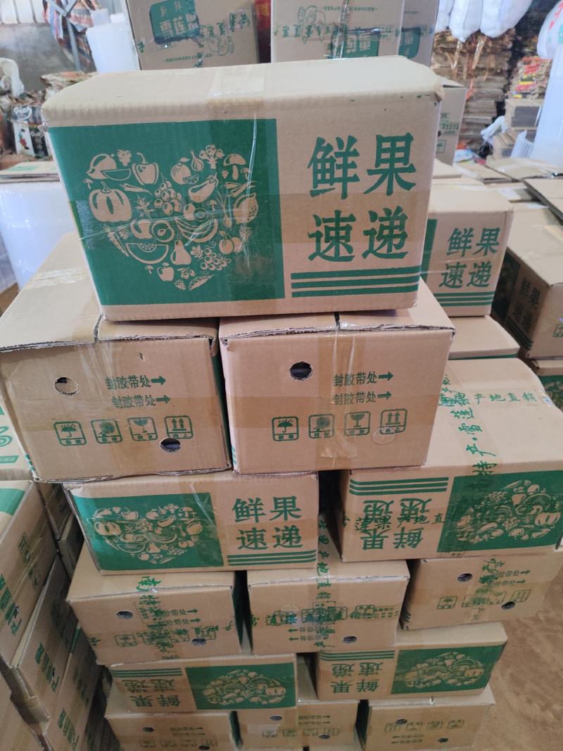 【现货】现挖云南雪莲果提供场地住宿一件代发