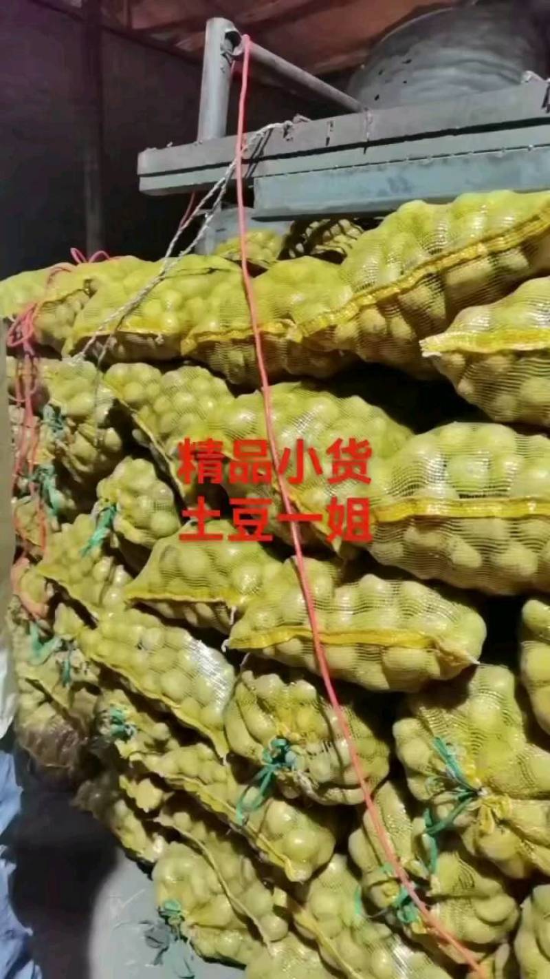 呼伦贝尔实验一三优货产地供货一手价格质优价廉