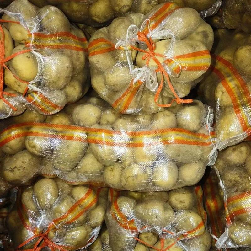 希森黄皮黄心土豆，产地直发质优价廉