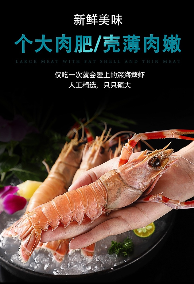 【精选】深海鳌虾海龙虾一手货源质量保证新鲜发货全国