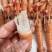 【精选】深海鳌虾海龙虾一手货源质量保证新鲜发货全国