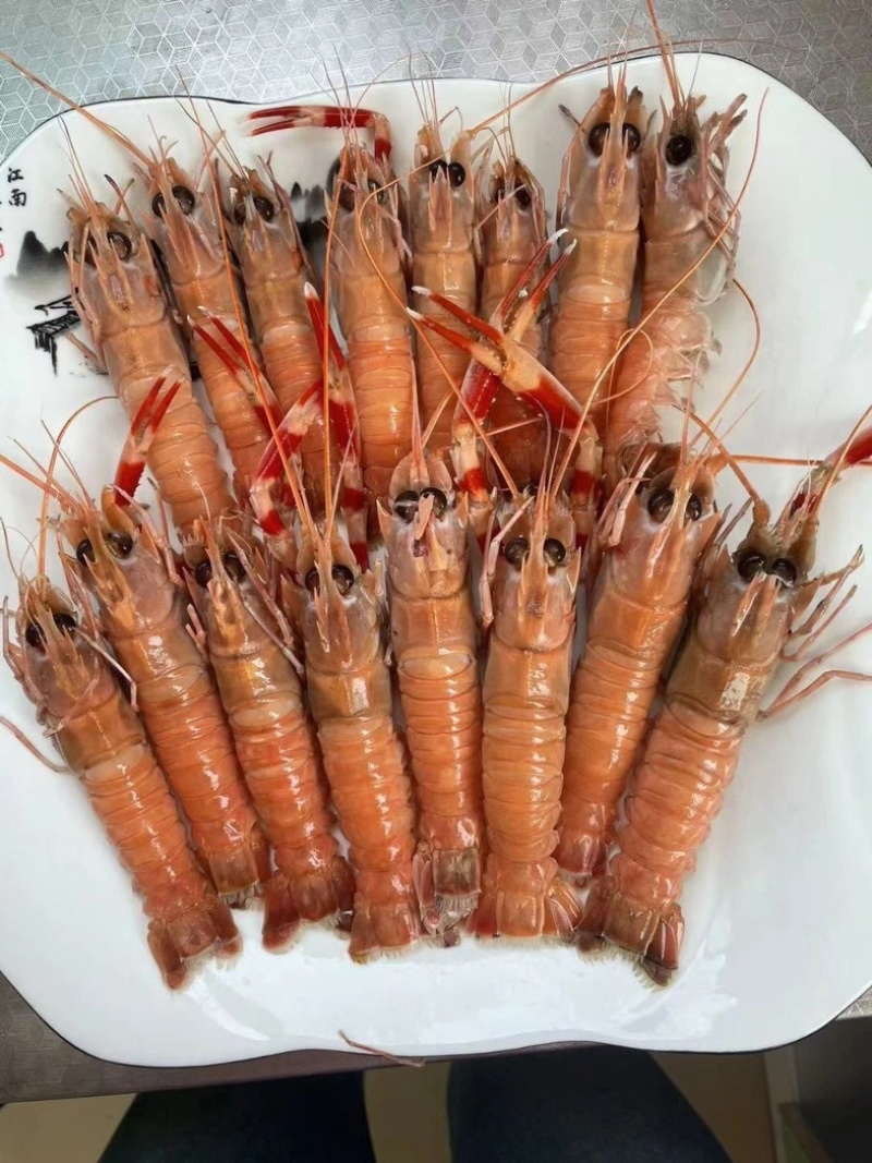 【精选】深海鳌虾海龙虾一手货源质量保证新鲜发货全国