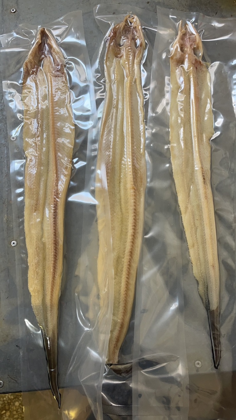 七星鳗鱼干沙鳗干鳝鱼干干鱼可视频看货
