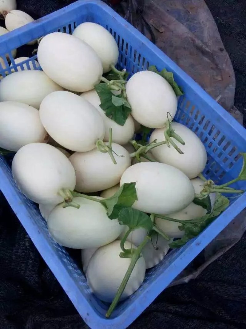 高端水果基地直发