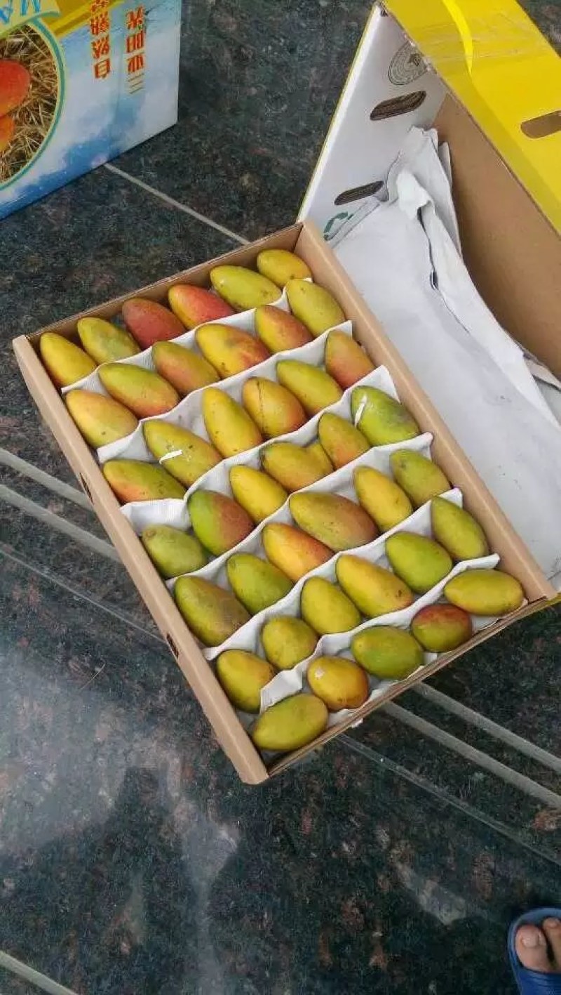 高端水果基地直发