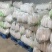 涞水精品五排