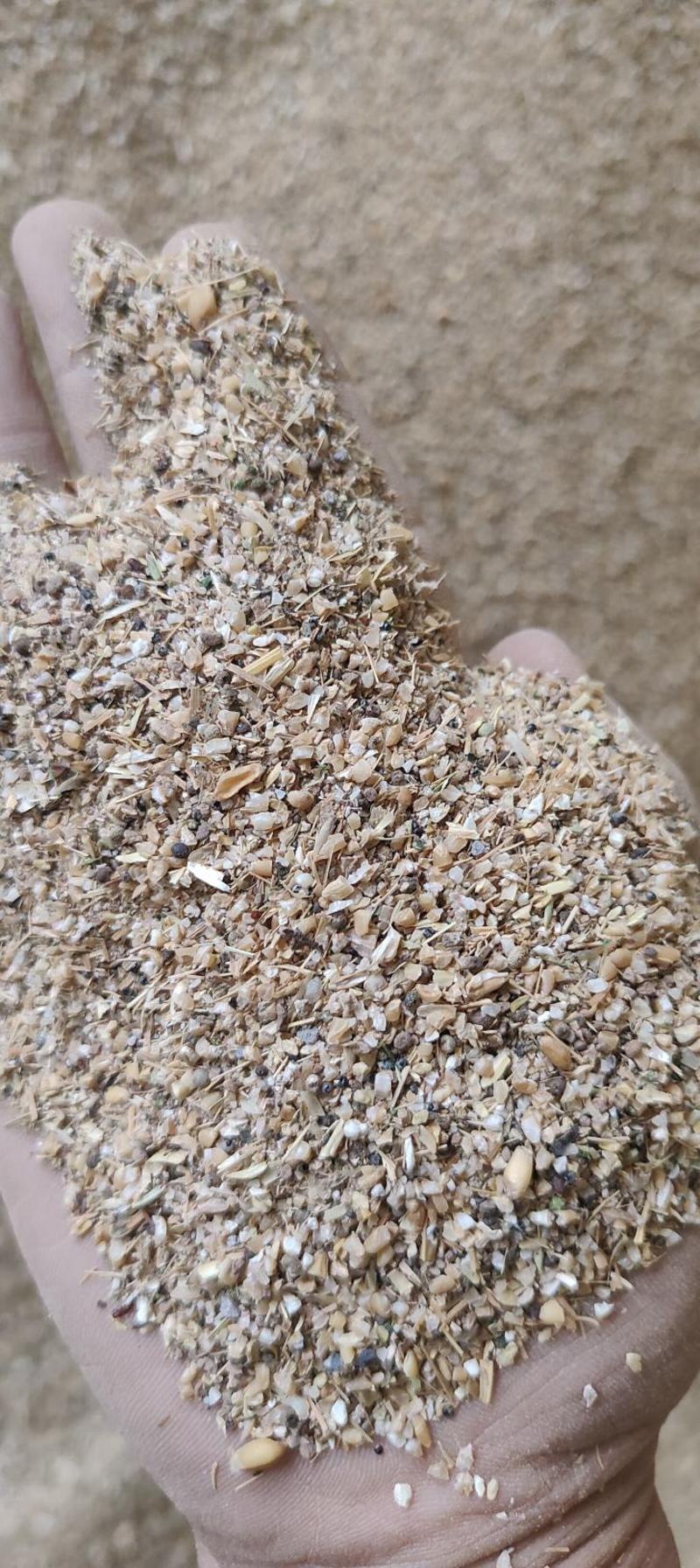一手优质小麦下脚料，碎小麦，麦漏，草籽麦