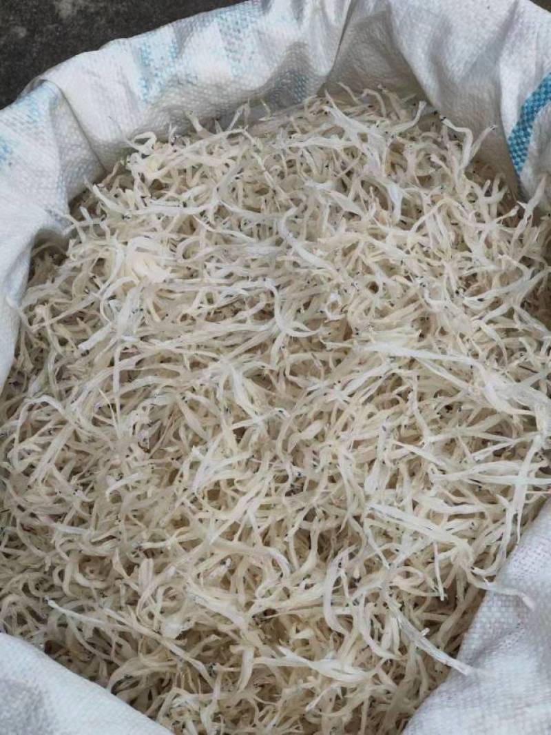 干银鱼，量大从优，可以批发可以零售，发往全国各地，欢迎联