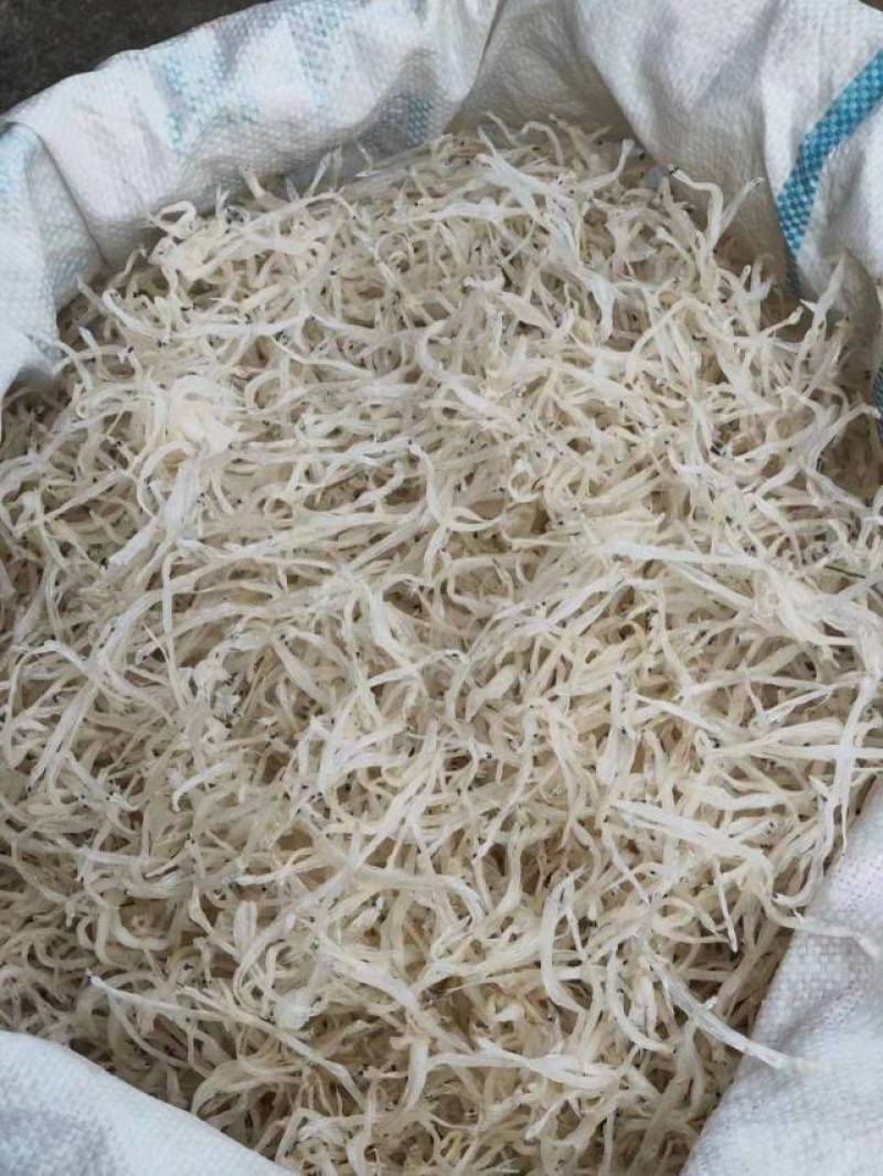 干银鱼，量大从优，可以批发可以零售，发往全国各地，欢迎联
