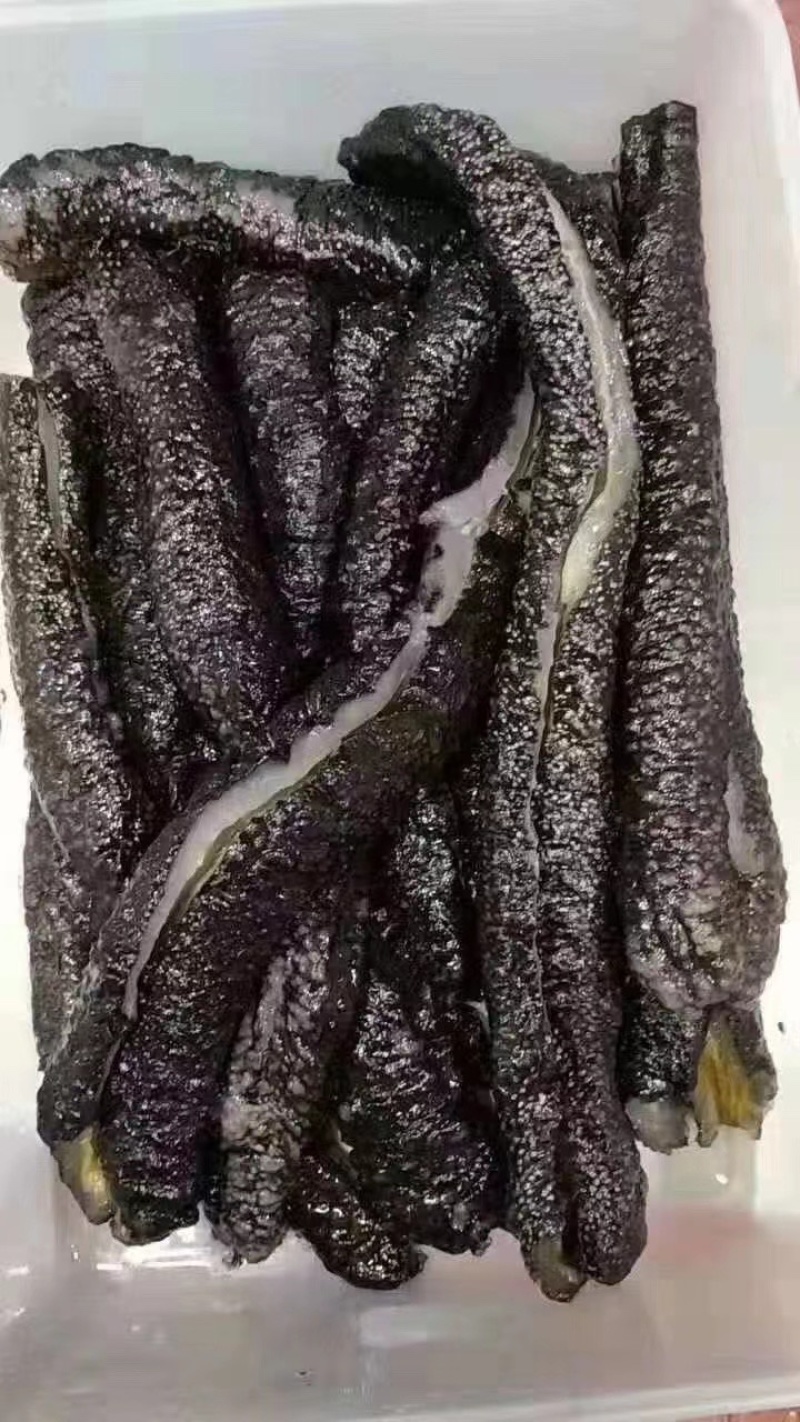 花蛇参/海参/足干/淡干