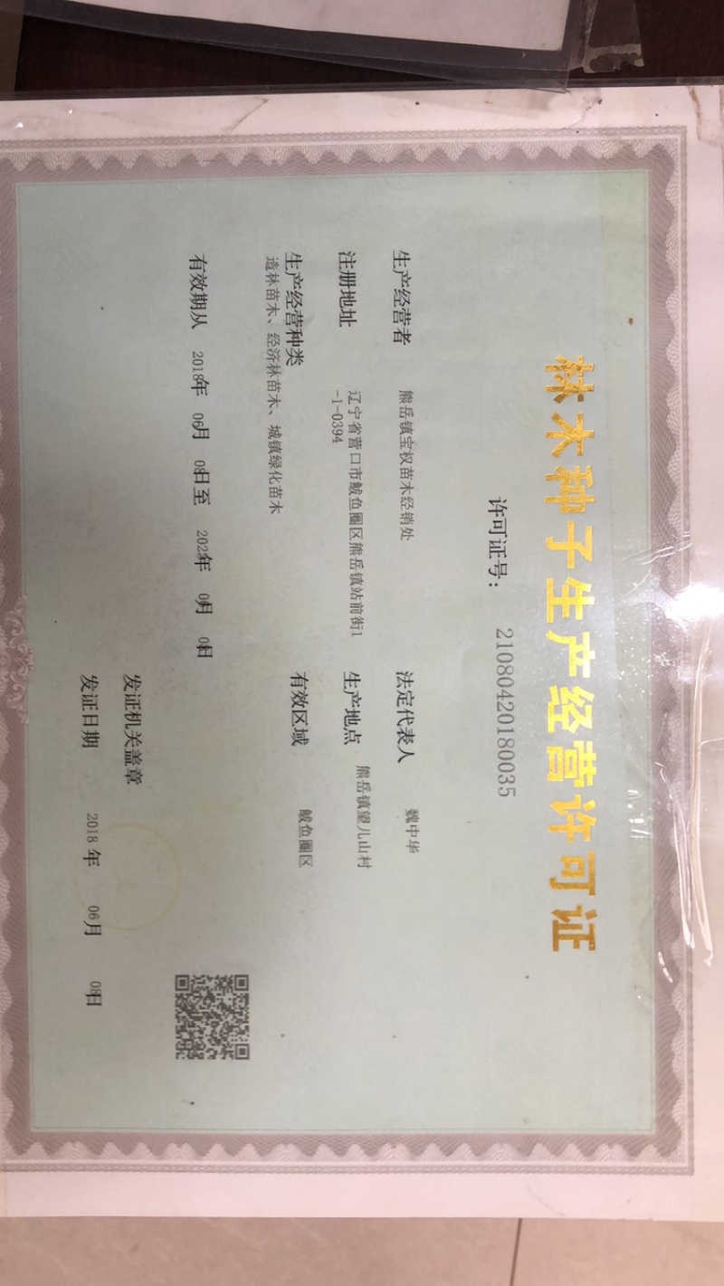 辽宁蓝宝石葡萄苗/供应蓝宝石葡萄苗保质保真保成活