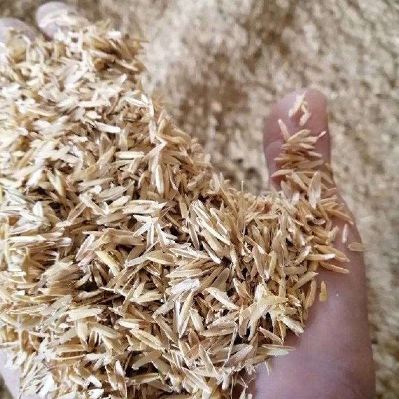 广西桂林打包壳/净壳，大棚种植，盆栽土壤腐熟基质，酿酒