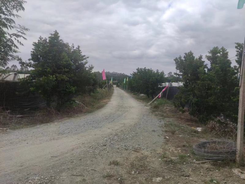 转让百亩优质葡萄园