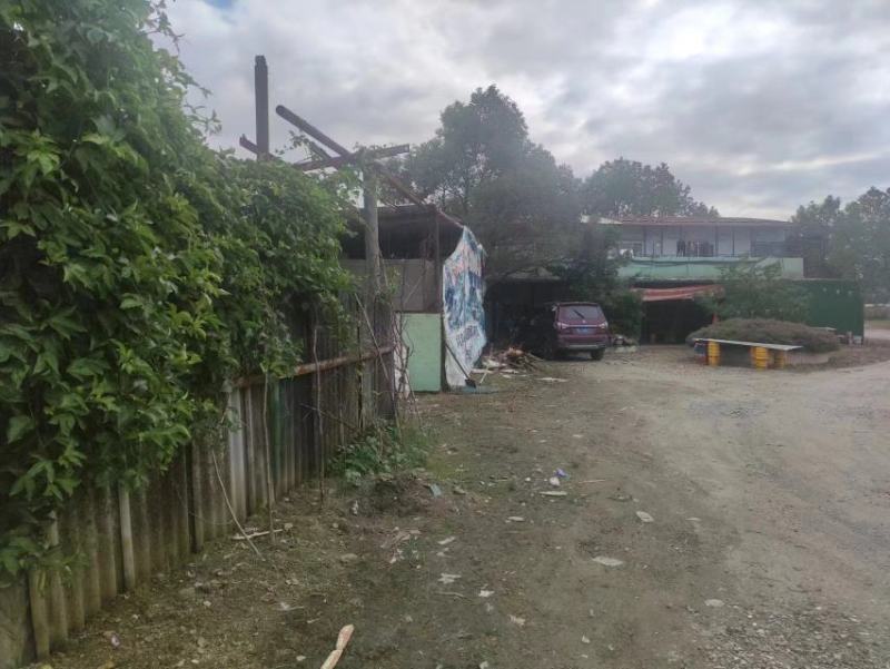 转让百亩优质葡萄园