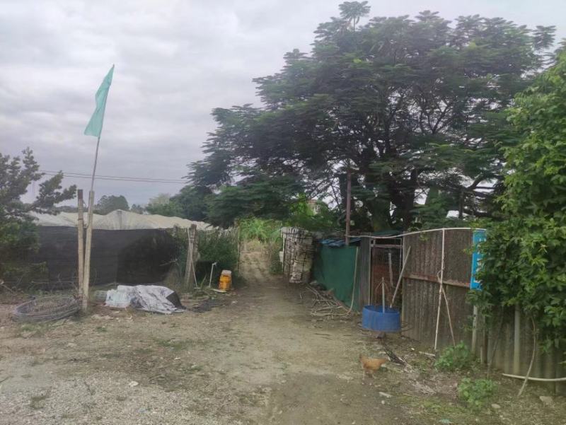 转让百亩优质葡萄园