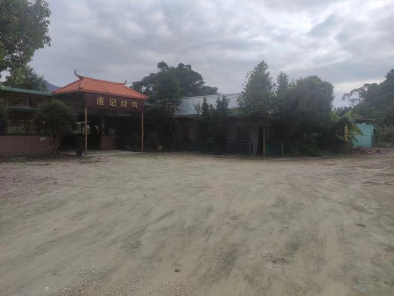 转让百亩优质葡萄园