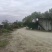 转让百亩优质葡萄园