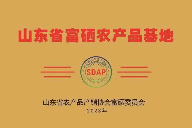 二代富硒精品冬枣渤海畔牌富硒冬枣2斤礼品盒装