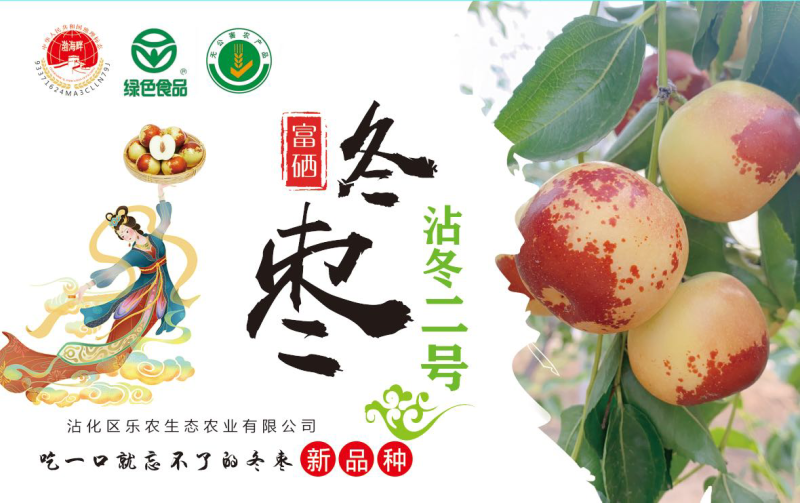 二代富硒精品冬枣渤海畔牌富硒冬枣2斤礼品盒装