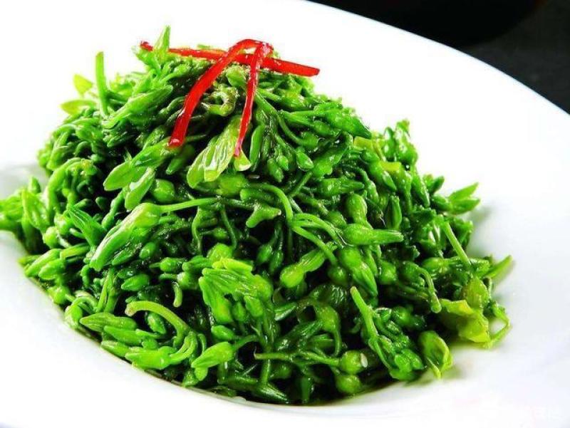 广东特色，夜香花，夜兰香