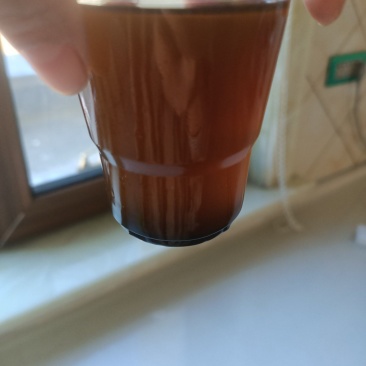 非转基因油菜籽