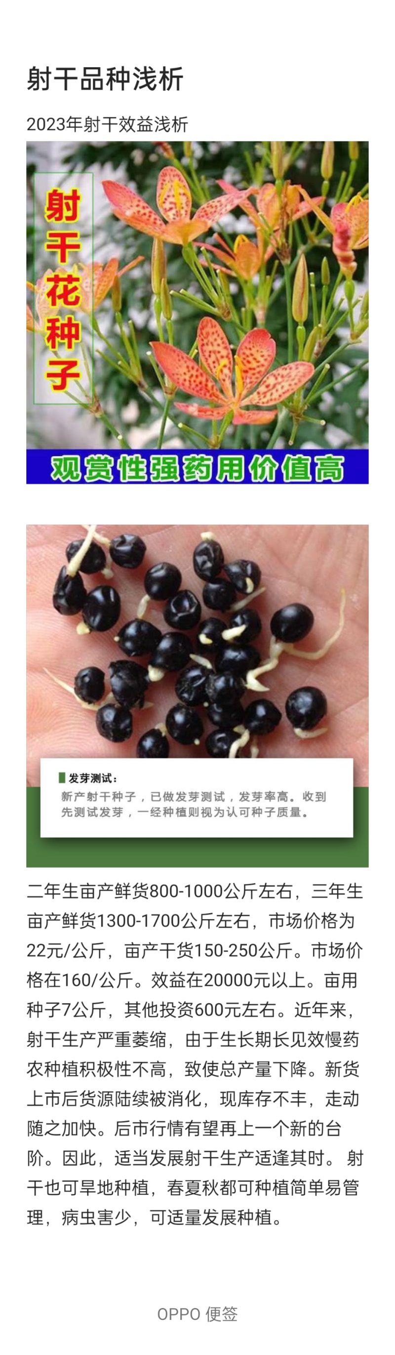 【射干种子】自家种植质优价廉适应性强易种高活