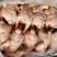 肉食中装鸡
