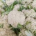 有机松花菜白面青梗散花小米粒菜花代收代发代加工全国