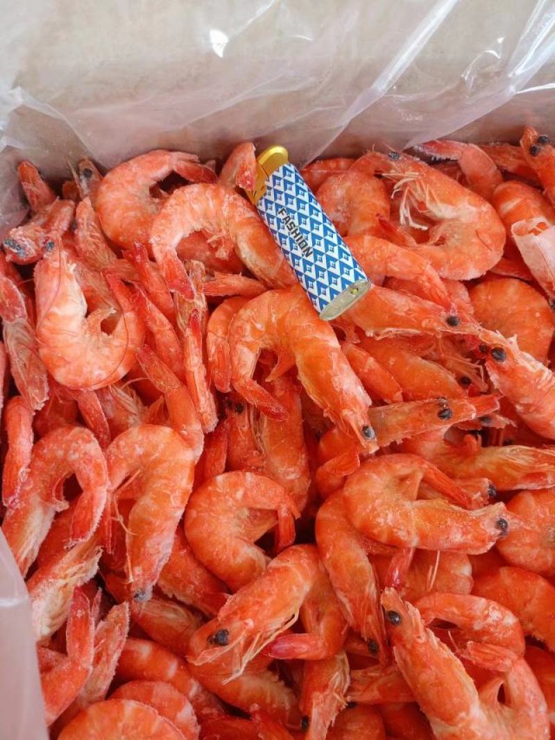 海捕大虾散装单冻熟虾水产品海产冻品批发贸易