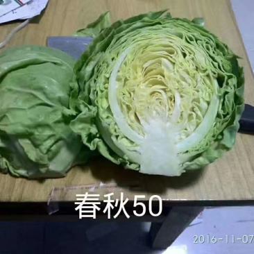 甘蓝又掉价了，喜欢的老板抓紧下单