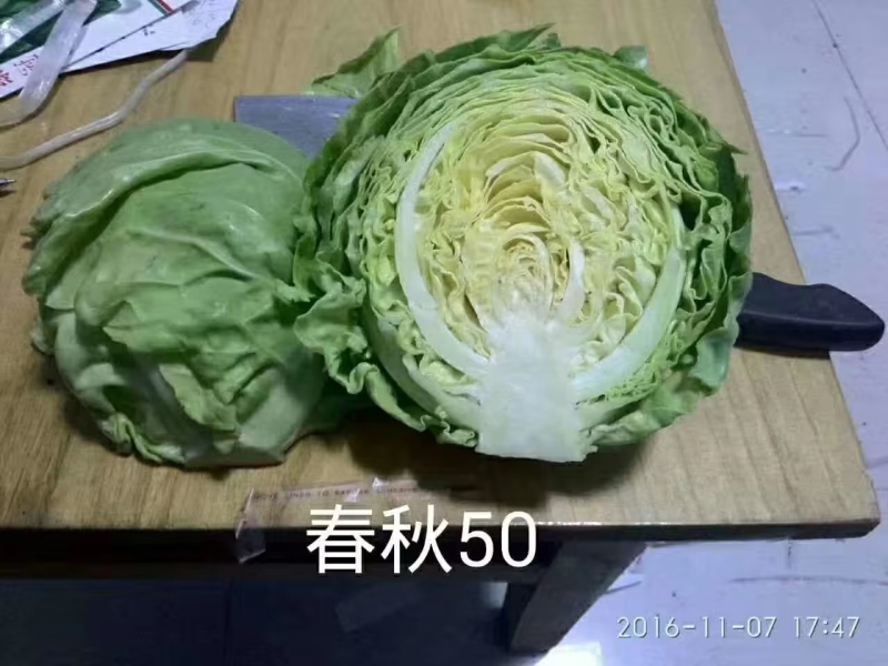 甘蓝又掉价了，喜欢的老板抓紧下单