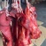 【腊肉】烟熏腊猪拱嘴，一件50斤，现货供应