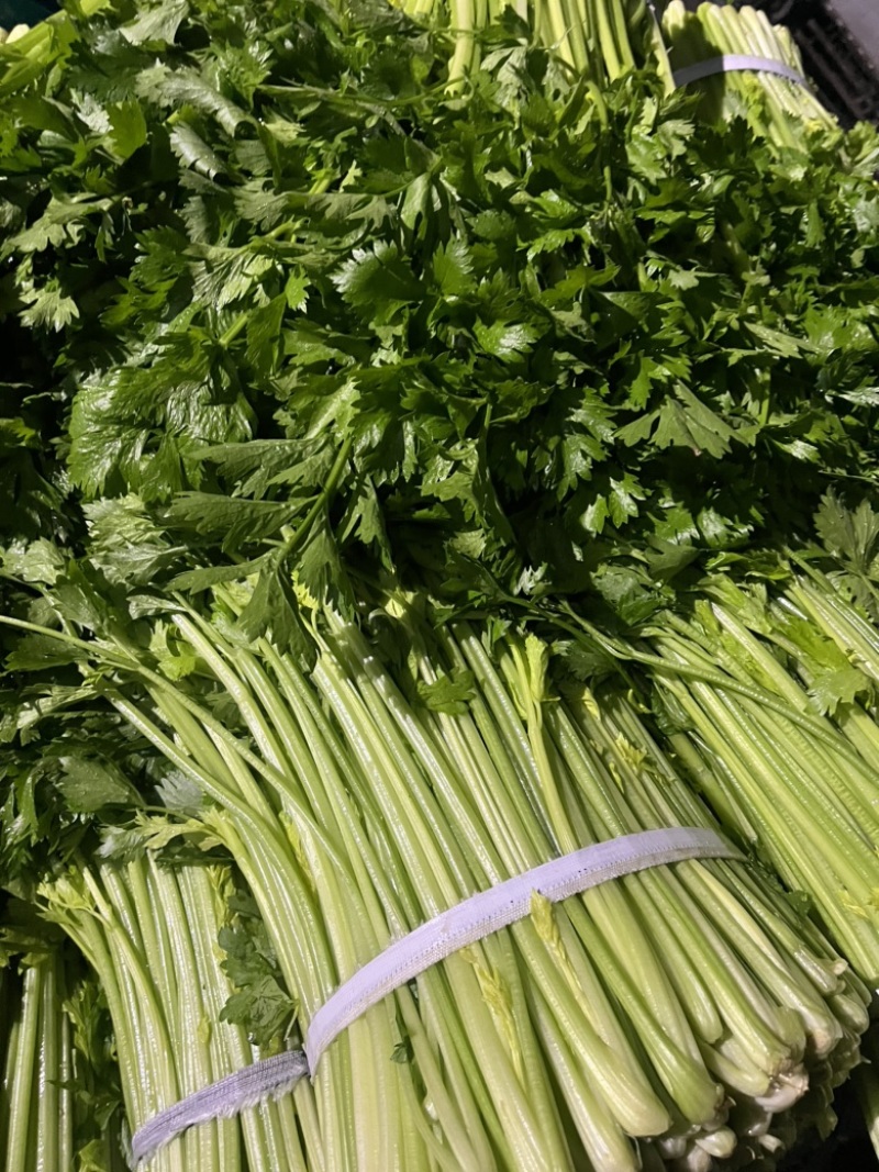 芹菜香芹