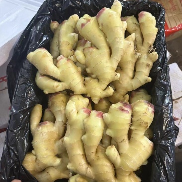 新姜