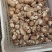精品花菇已上市望新老客户订购，质优价廉