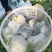 湖北天门青梗白面松花菜上市中个头大颜色白无黑点杂质有网袋