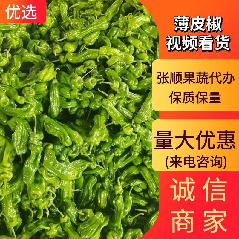 【薄皮椒】芜湖椒山东产地发货全国市场商超品质保证电联优惠