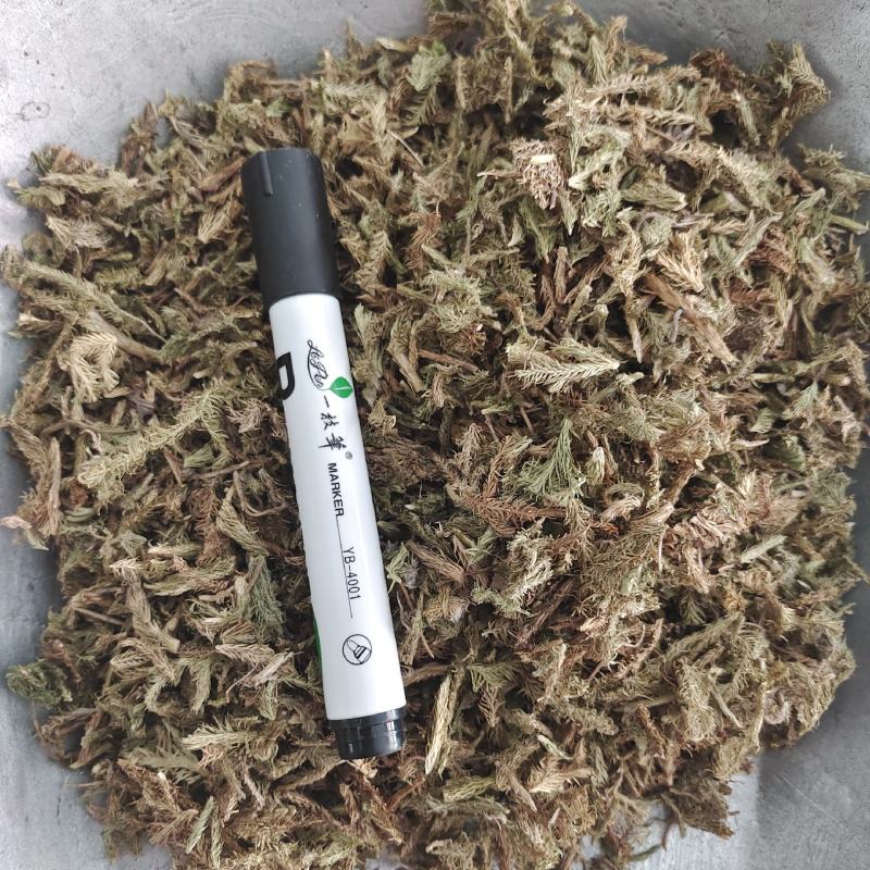 伸筋草，产地货源，货干，批发各种中药材，欢迎订购