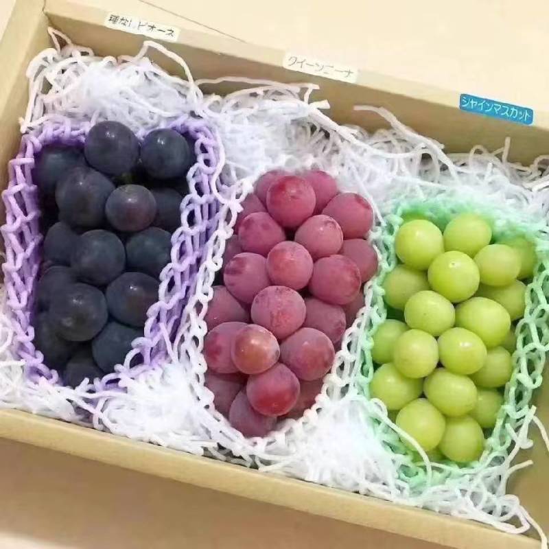 精品葡萄巨峰葡萄大量上市代发全国货源充足欢迎咨询