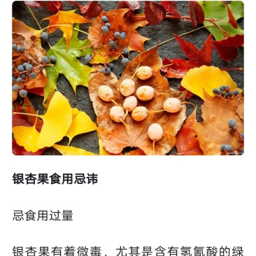 银杏果
